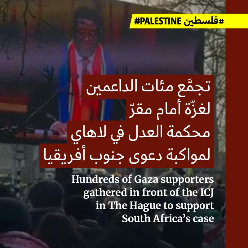 ساحة لاهاي تشهد وقفات داعمة لغزّة وأخرى داعمة للإبادة