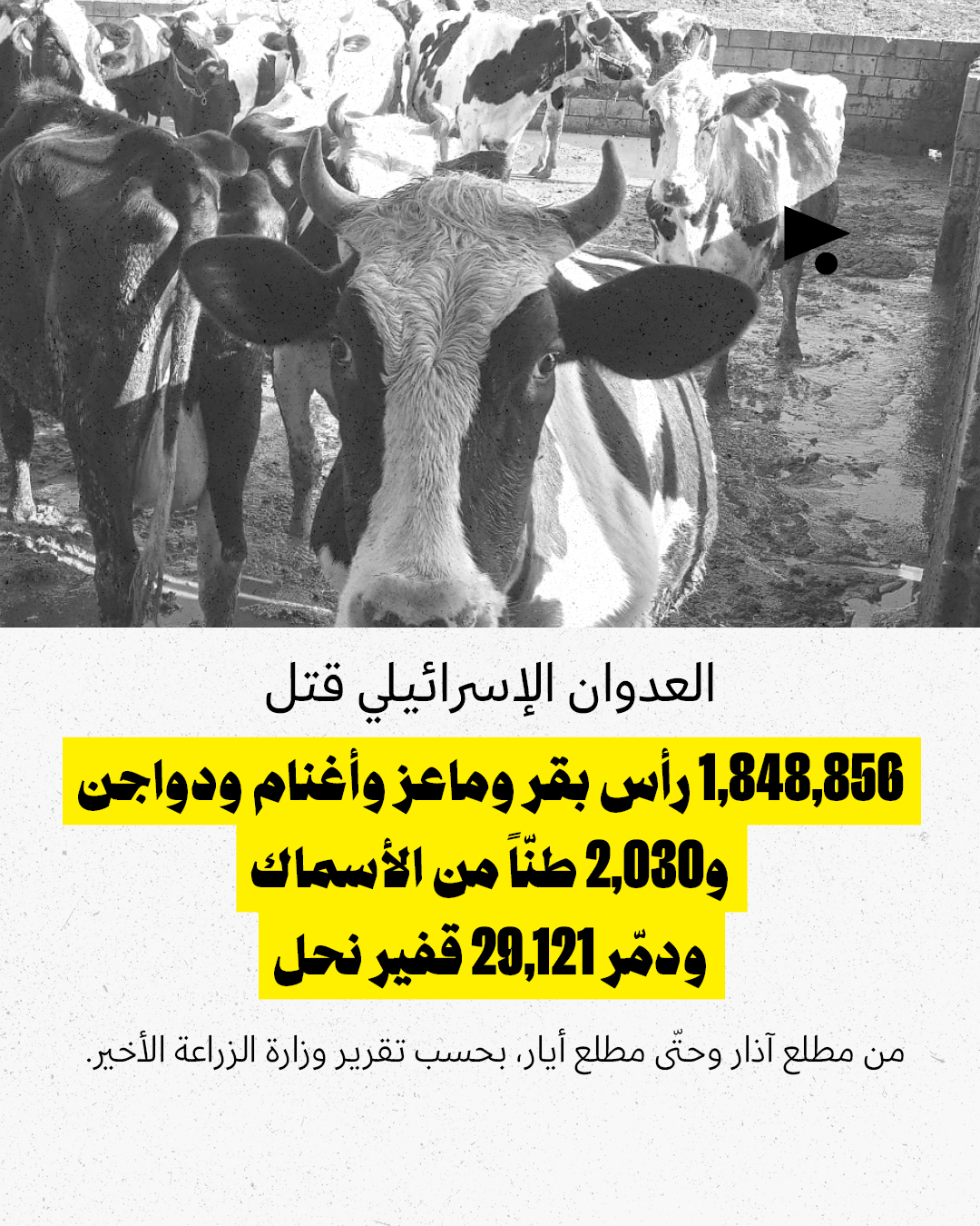 <strong>شهرٌ على «وقف إطلاق النار»: ماذا ارتكب الجيش الإسرائيلي خلاله؟</strong>