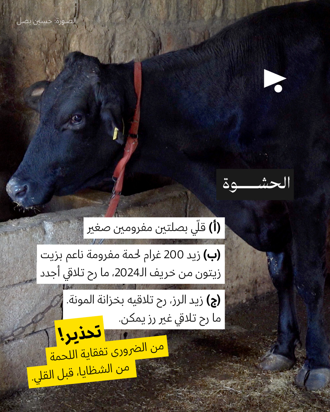 <strong>وصفة المحشي ملفوف المحتلّ </strong>