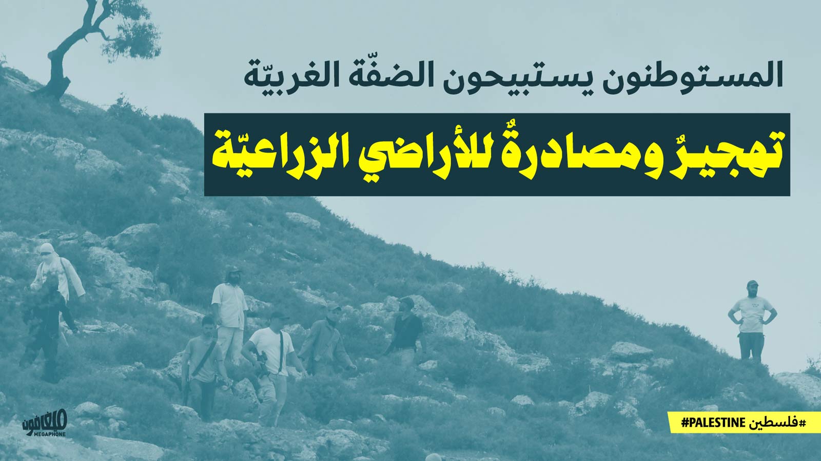 المستوطنون يستبيحون الضفّة الغربيّة: تهجيرٌ ومصادرةٌ للأراضي الزراعيّة