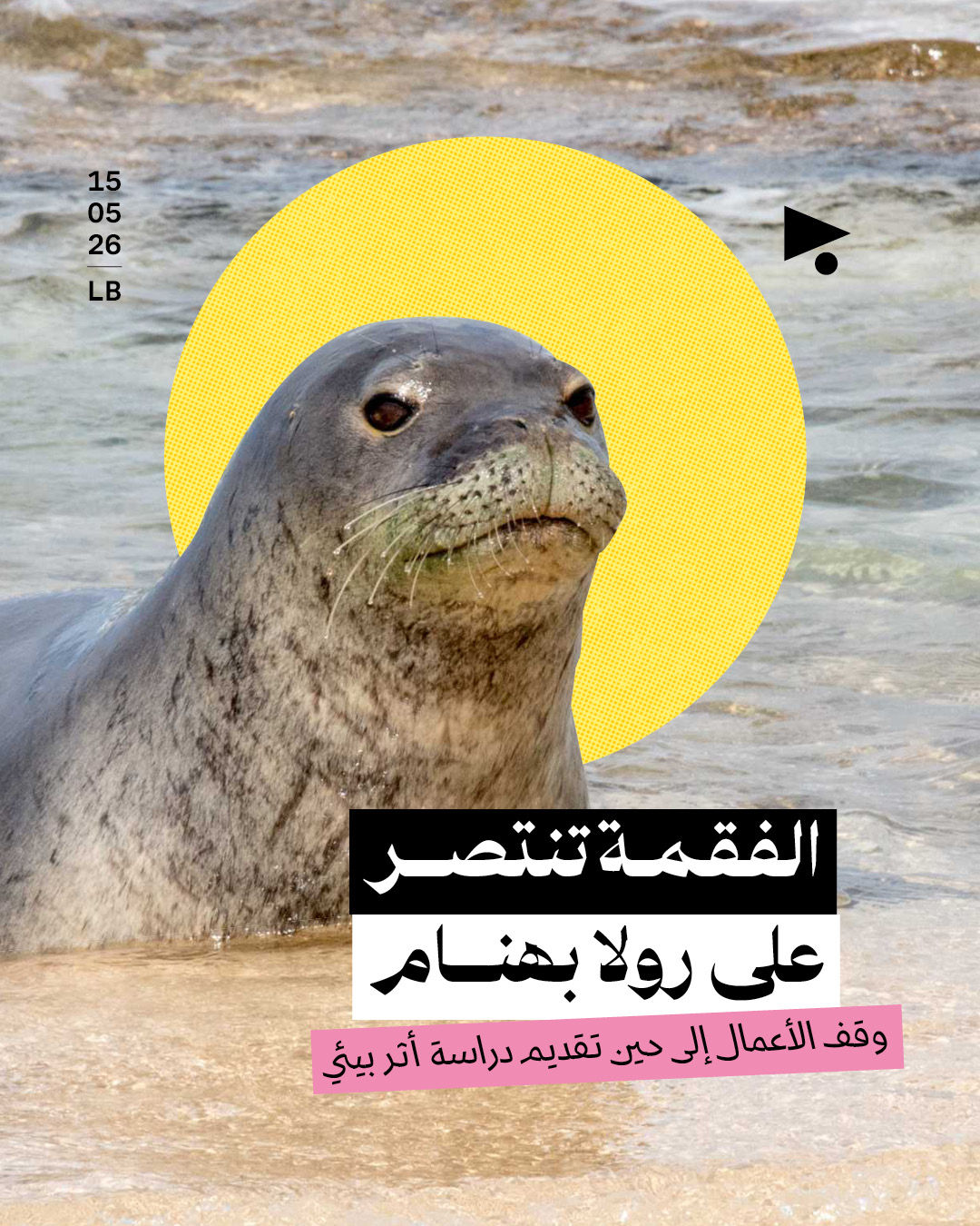 الفقمة تنتصر على رولا بهنام