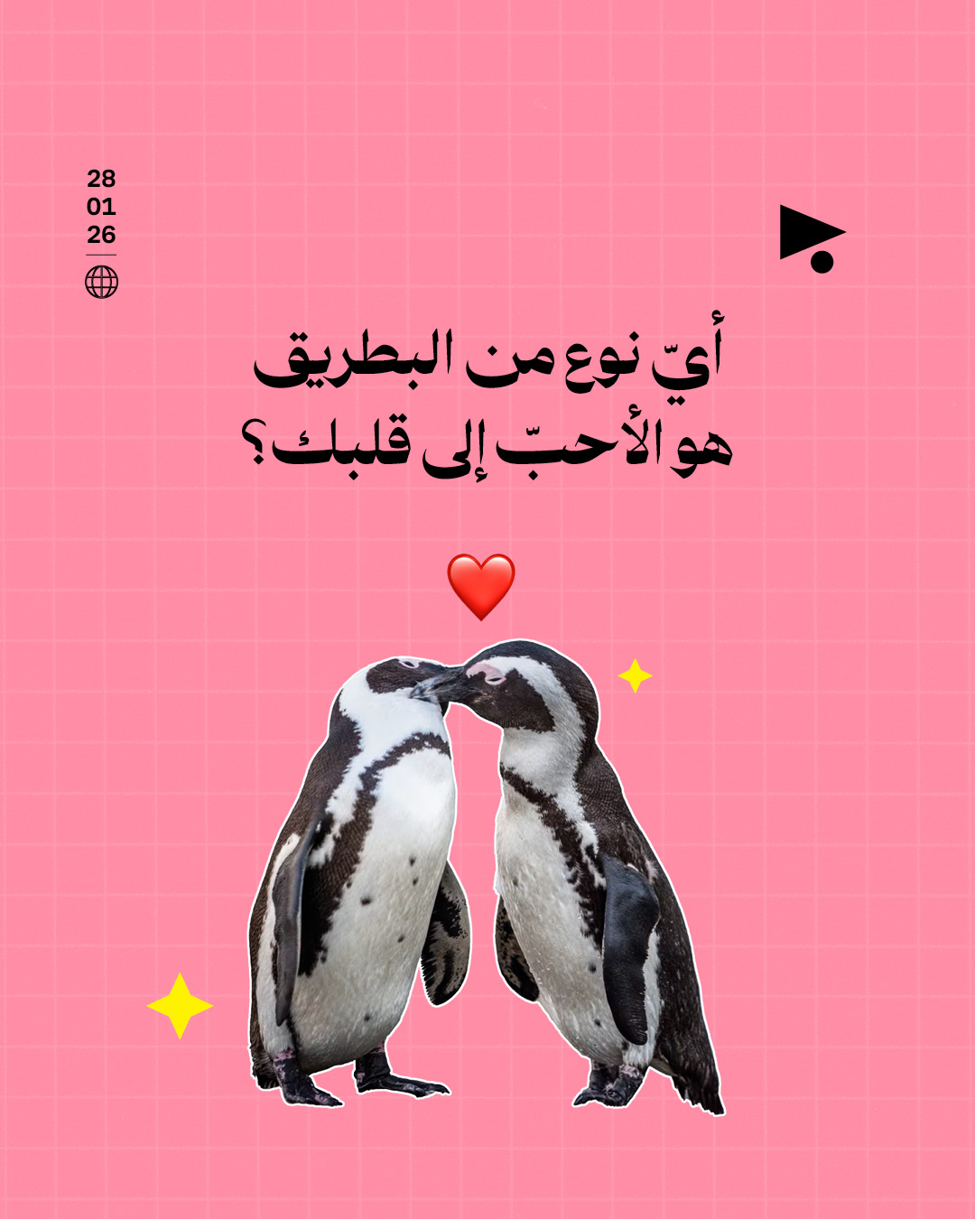 <strong>ترامب على خطأ البطريق لا يعيش في غرينلاند </strong>