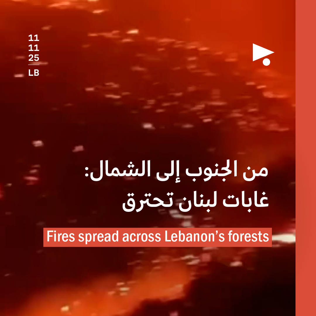 من الجنوب إلى الشمال: غابات لبنان تحترق