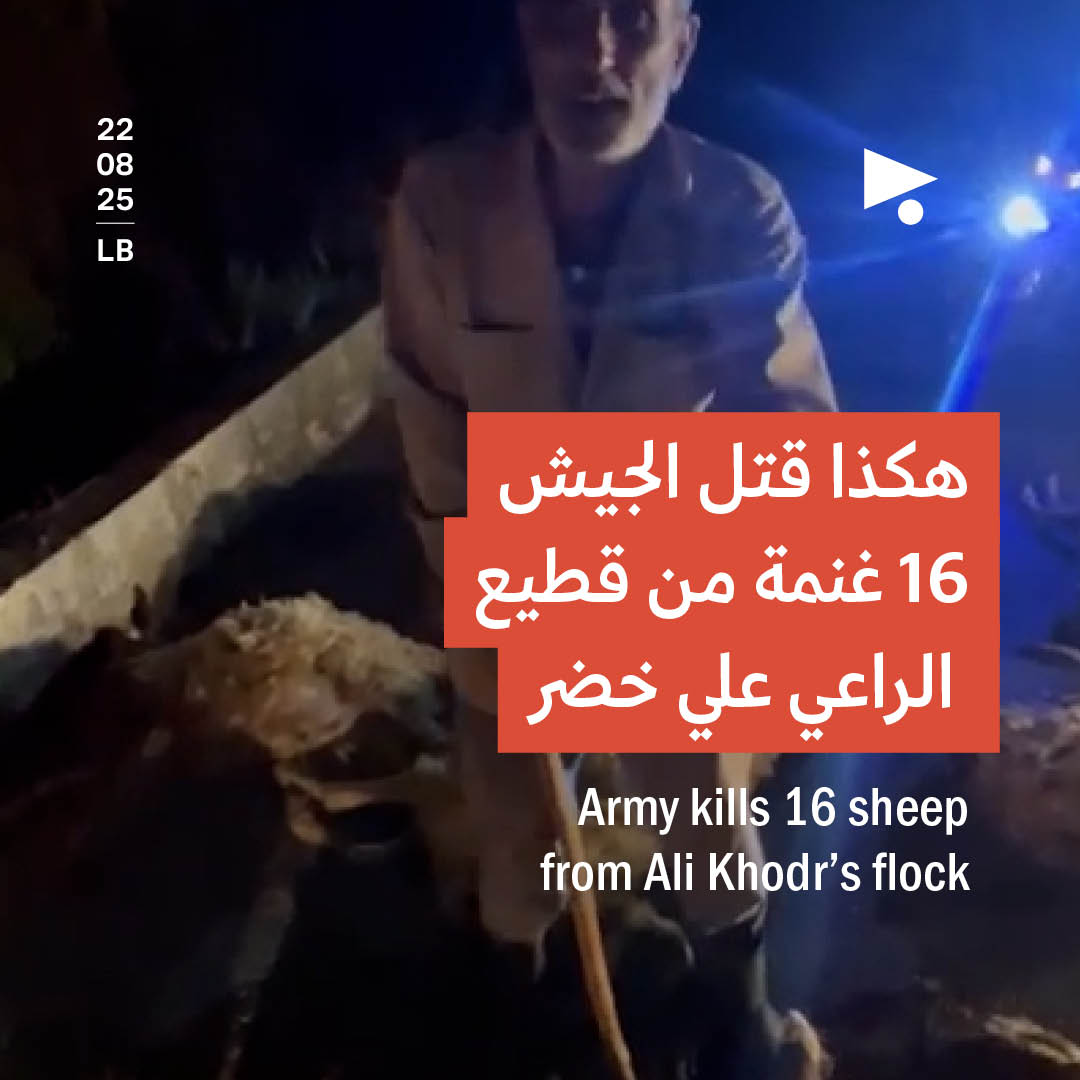 هكذا قتل الجيش 16 غنمة من قطيع الراعي علي خضر