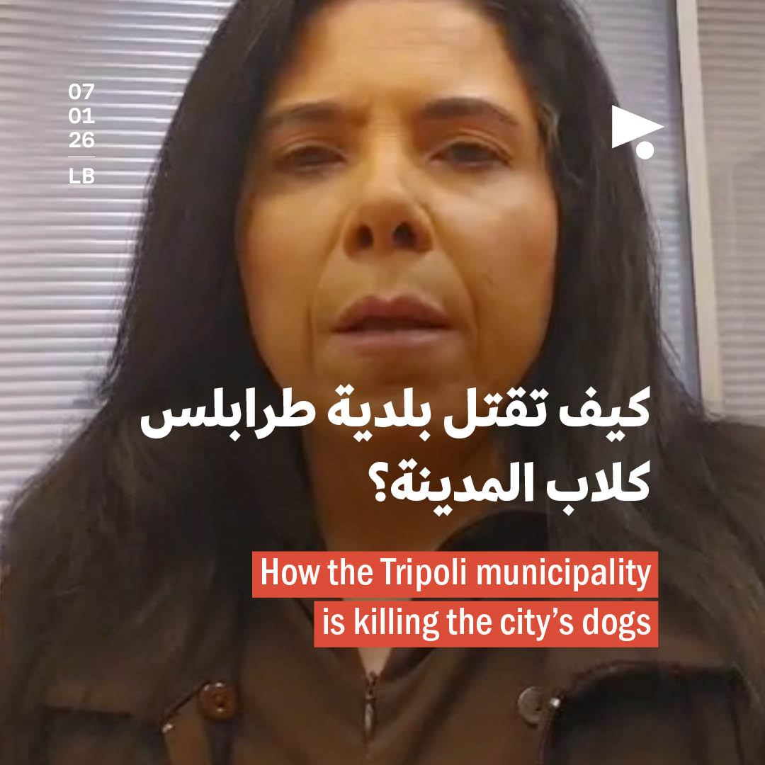 كيف تقتل بلدية طرابلس كلاب المدينة؟