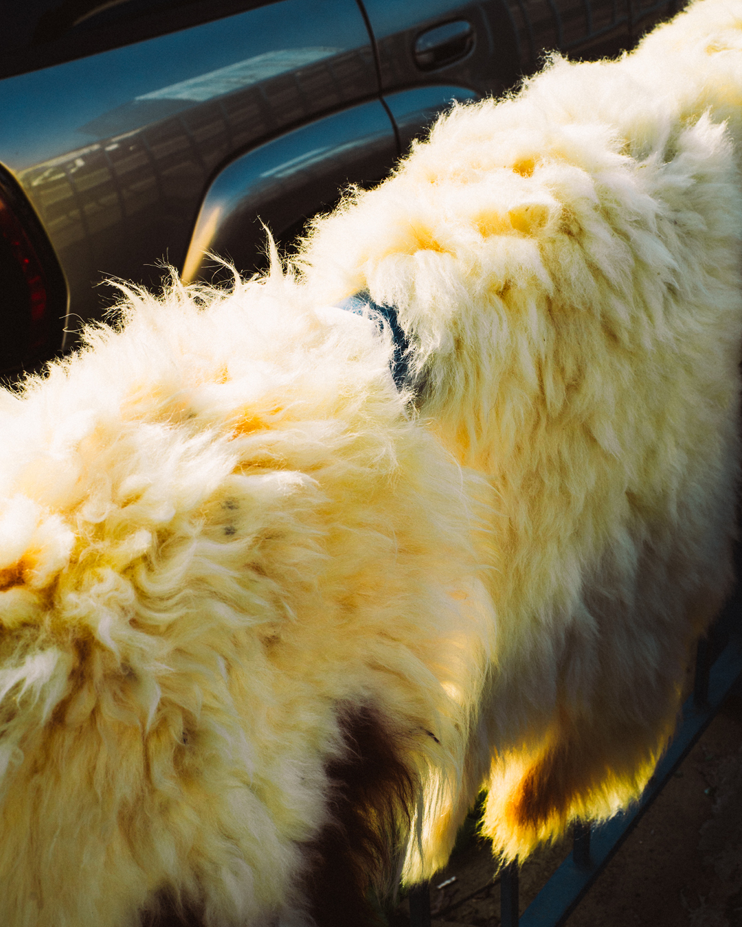 <strong>تحت الشمس</strong>