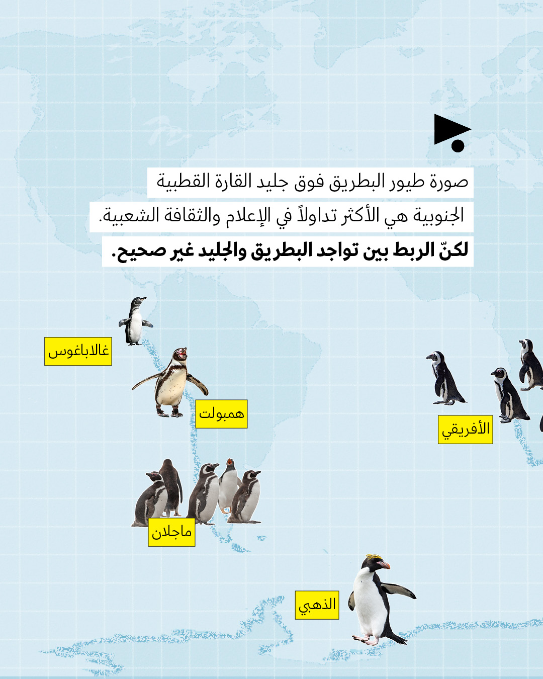 <strong>ترامب على خطأ البطريق لا يعيش في غرينلاند </strong>