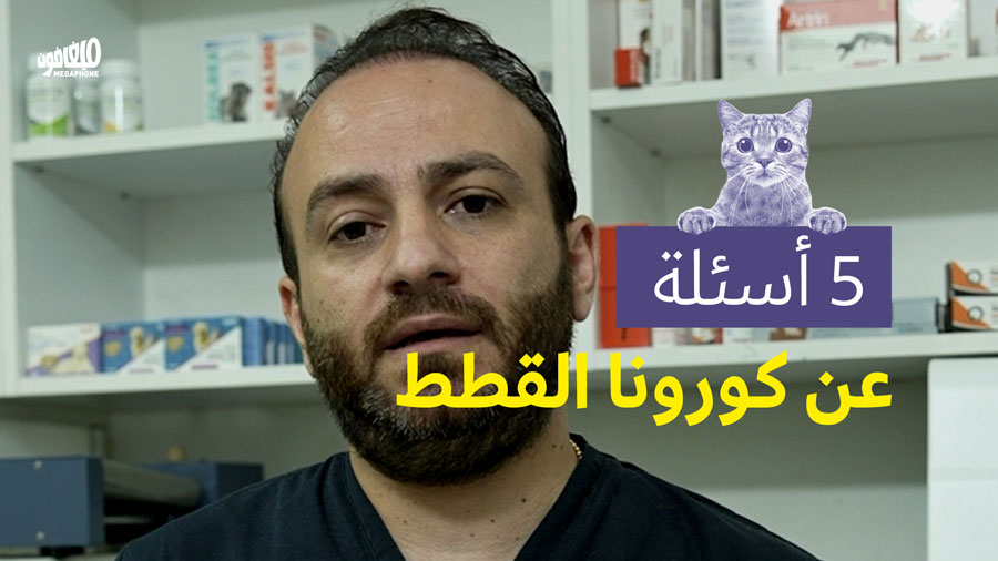 5 أسئلة عن كورونا القطط مع نقيب الأطبّاء البيطريّين