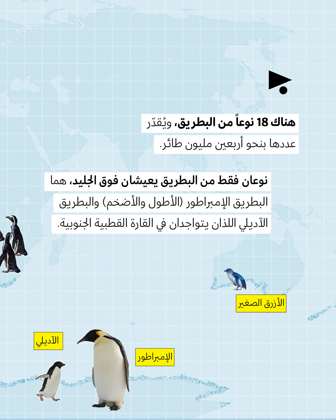 <strong>ترامب على خطأ البطريق لا يعيش في غرينلاند </strong>