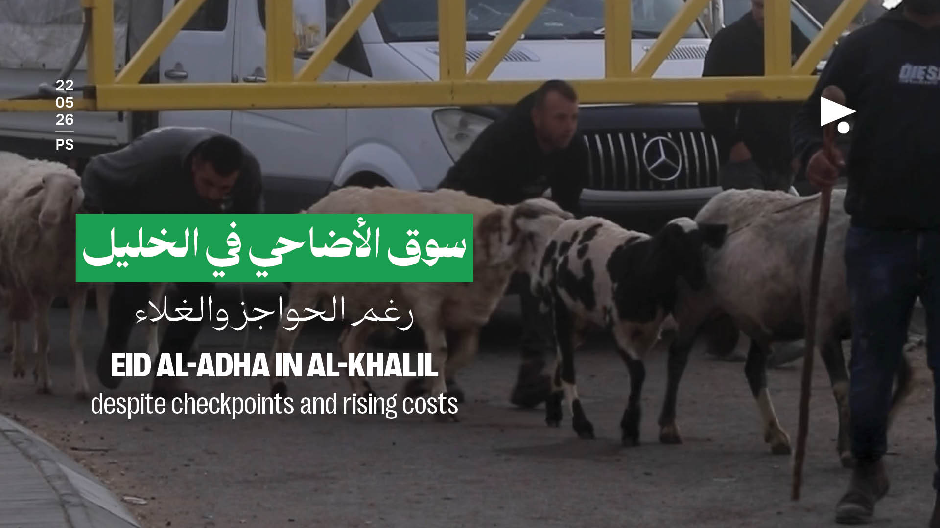 سوق الأضاحي في الخليل رغم الحواجز والغلاء