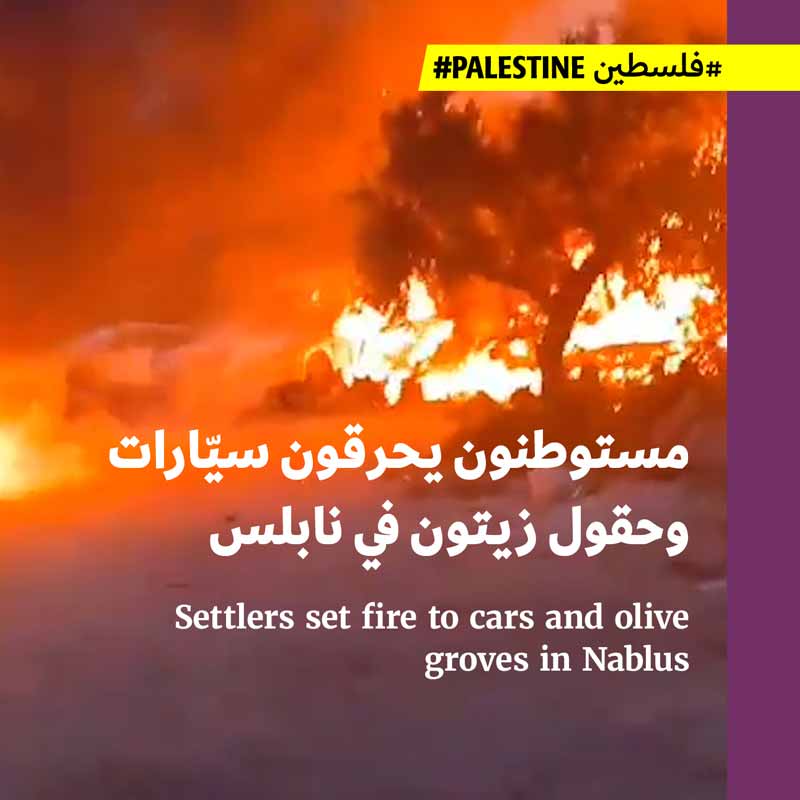 مستوطنون يحرقون سيّارات وحقول زيتون في نابلس