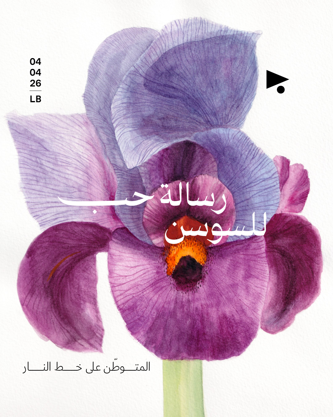 رسالة حب للسوسن: المتوطّن على خط النار