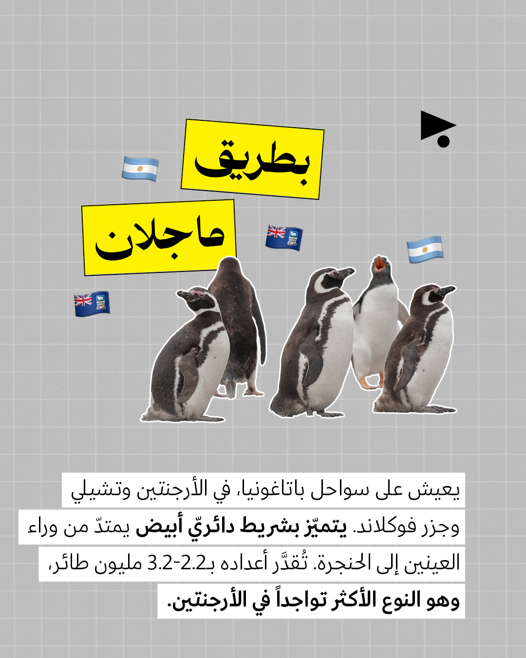 <strong>ترامب على خطأ البطريق لا يعيش في غرينلاند </strong>