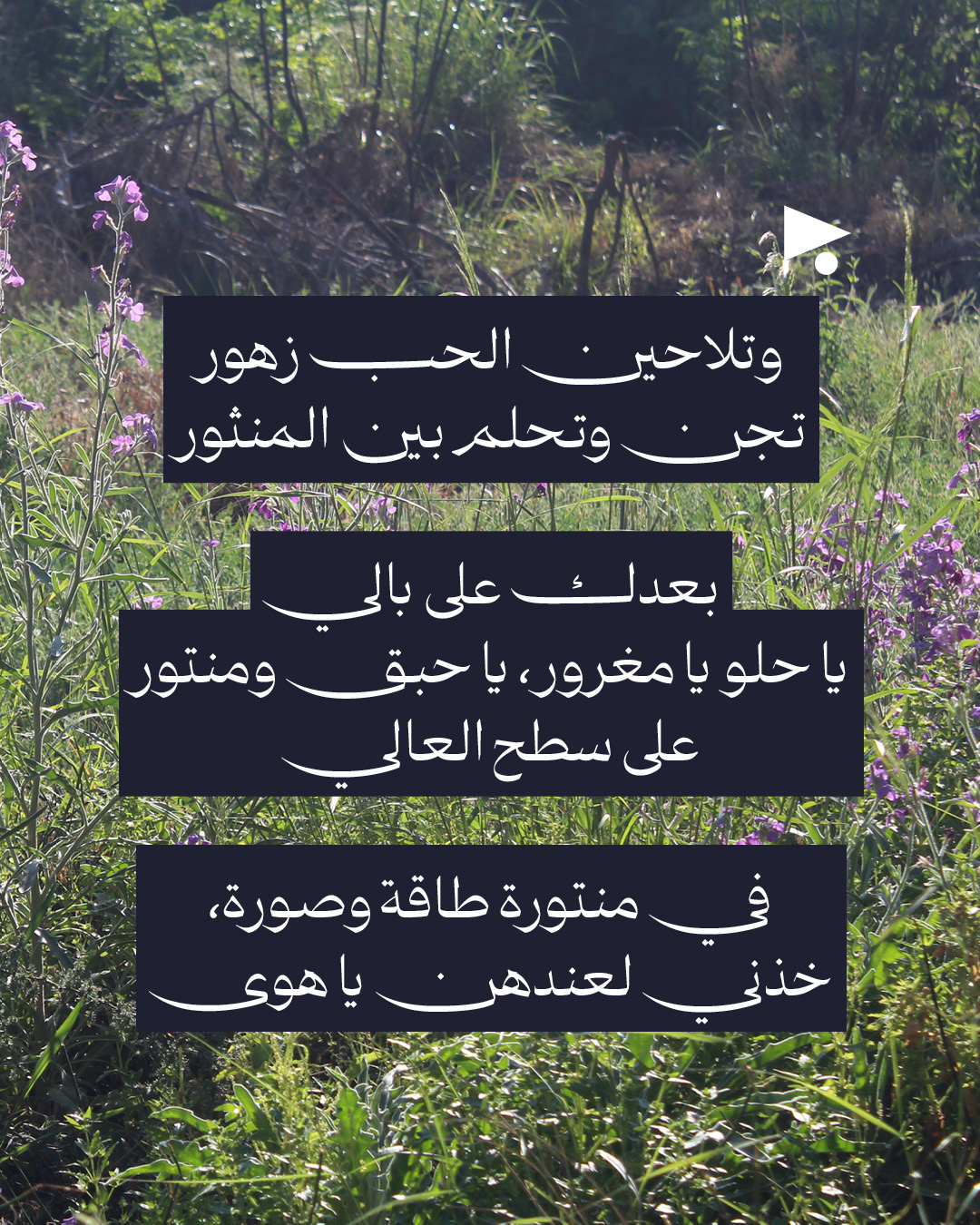 <strong>يا حبق ومنتور</strong>
