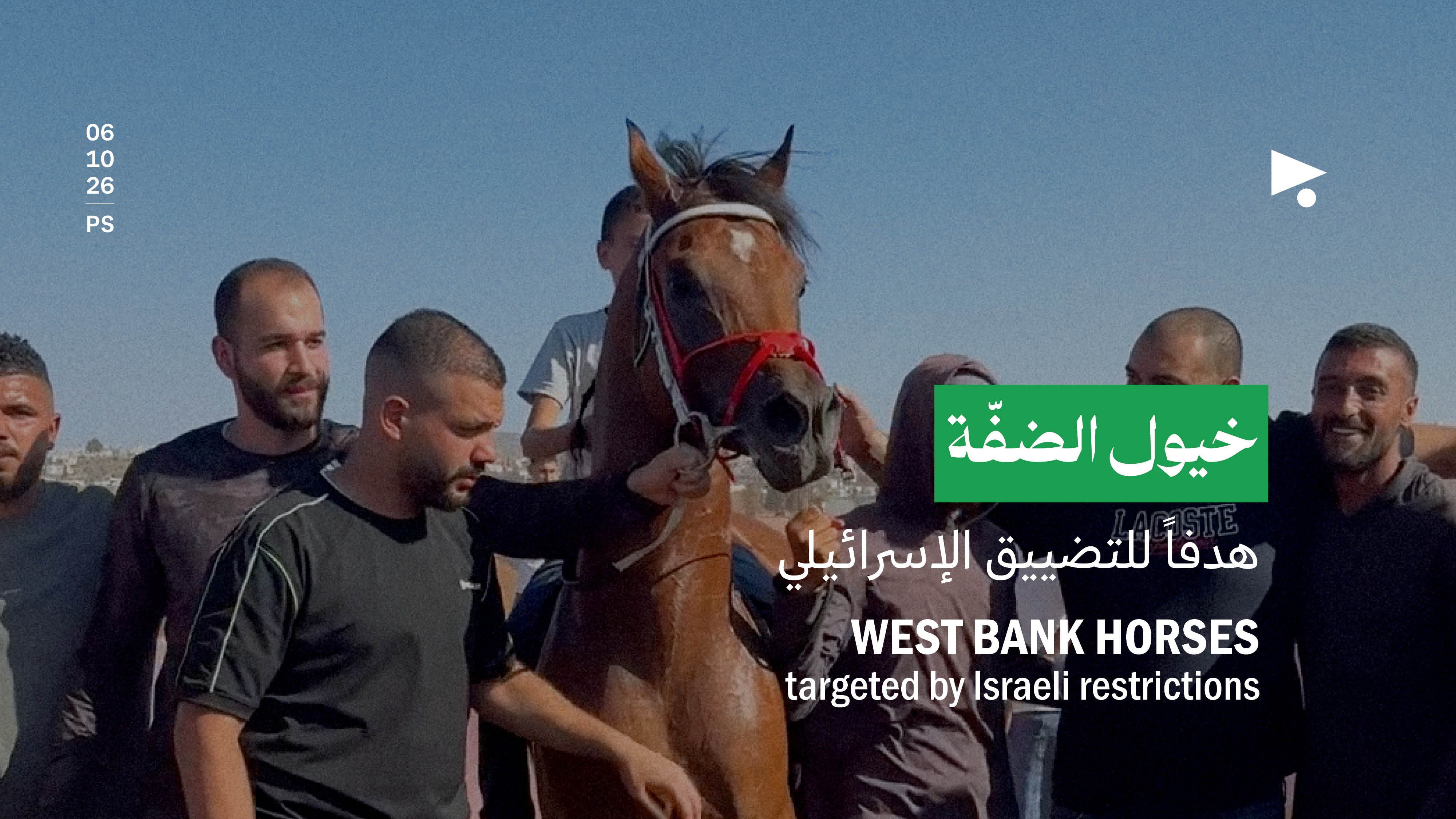  خيول الضفّة: هدفاً للتضييق الإسرائيلي