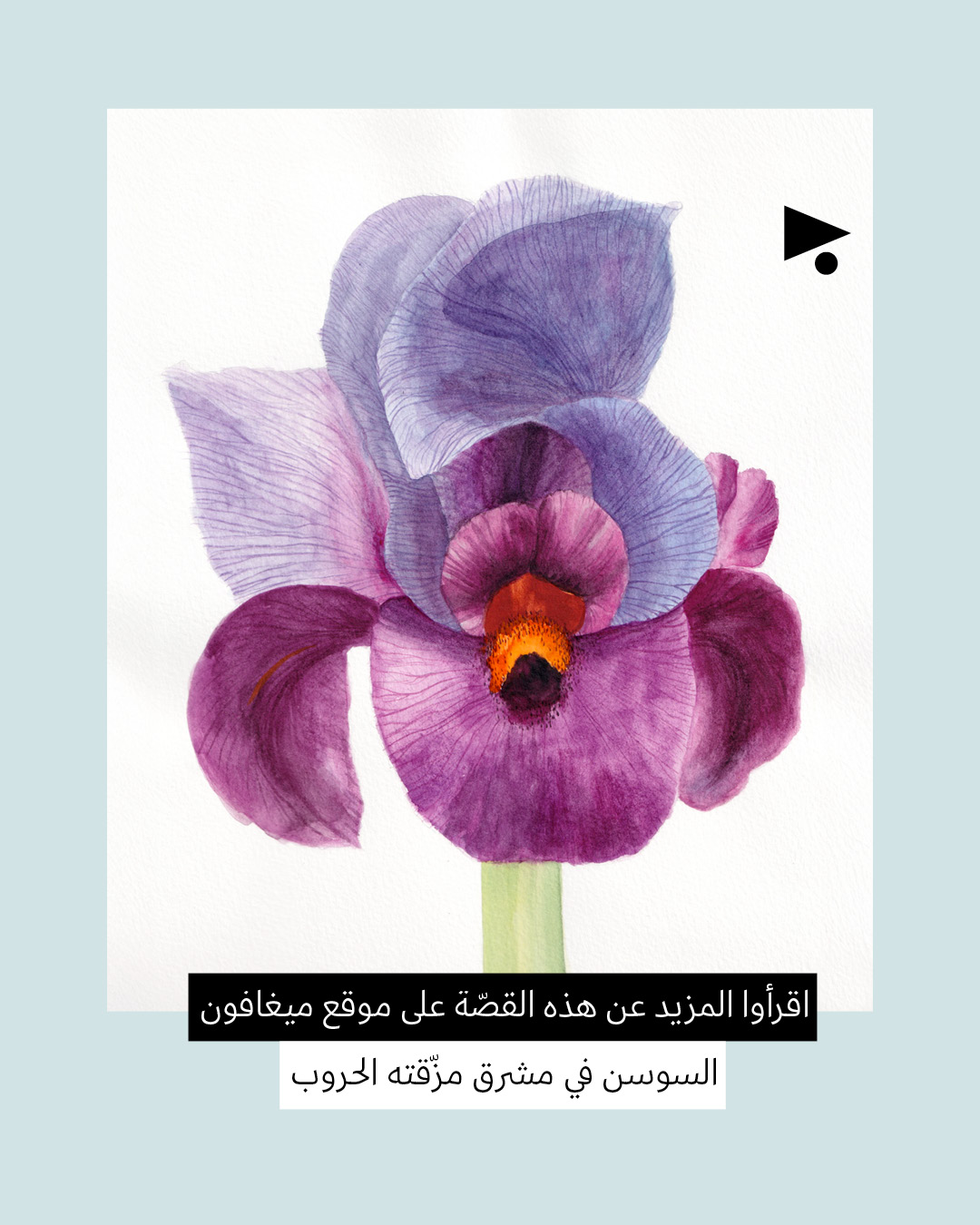 <strong>رسالة حب للسوسن: المتوطّن على خط النار</strong>