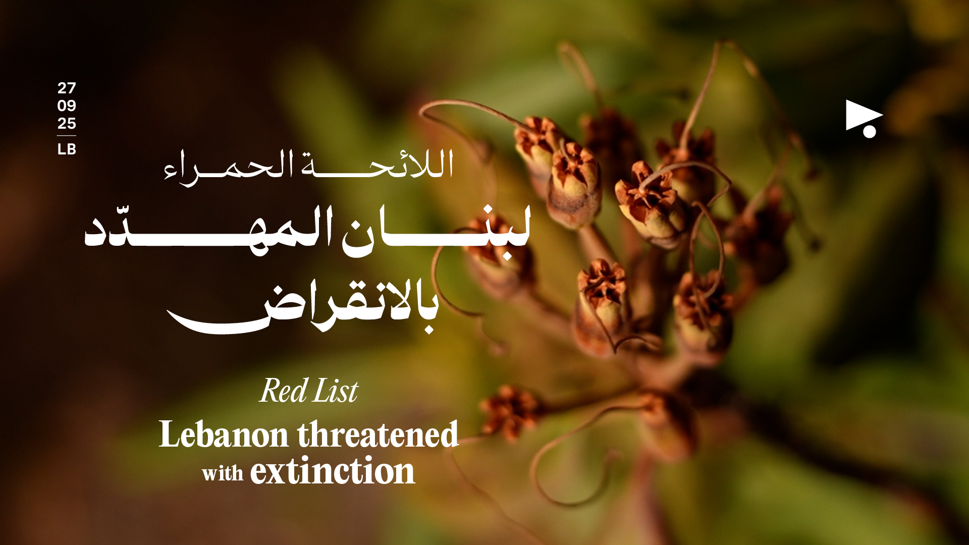 اللائحة الحمراء: لبنان المهدّد بالانقراض