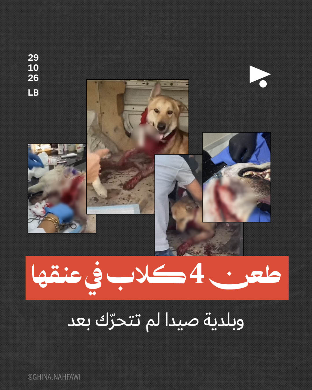 طعن 4 كلاب في عنقها