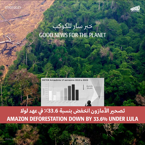 خبر سار للكوكب: تصحير الأمازون انخفض بنسبة 33.6٪ في عهد لولا