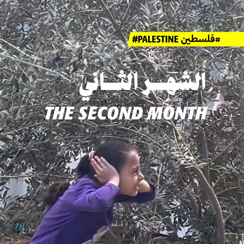 <strong>الشهر الثاني </strong>