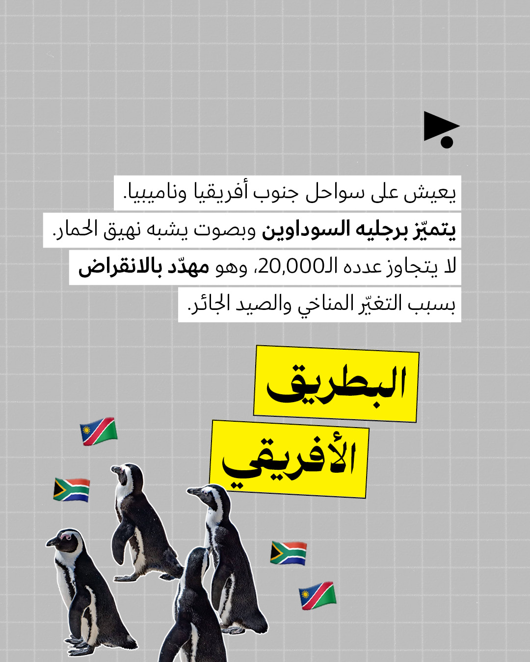 <strong>ترامب على خطأ البطريق لا يعيش في غرينلاند </strong>