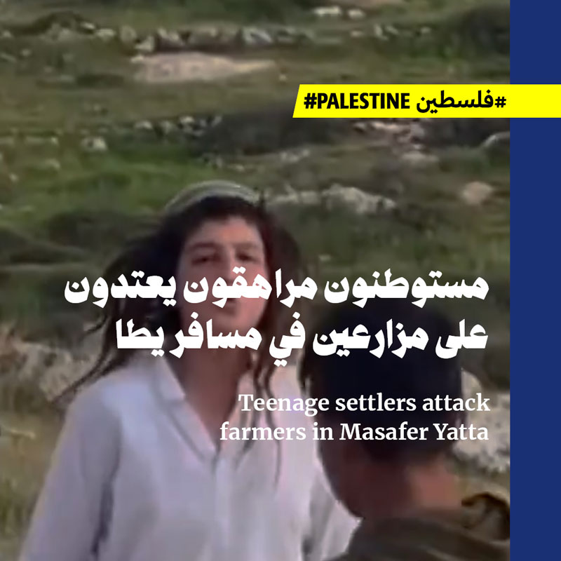 مستوطنون مراهقون يعتدون على مزارعين في مسافر يطا