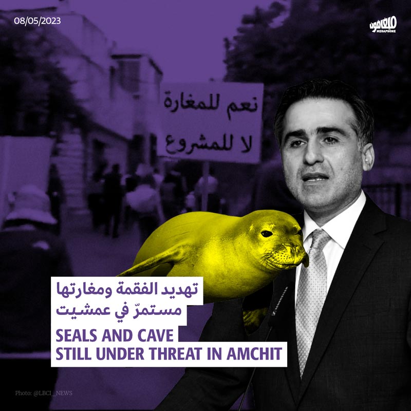 تهديد الفقمة ومغارتها مستمرّ في عمشيت