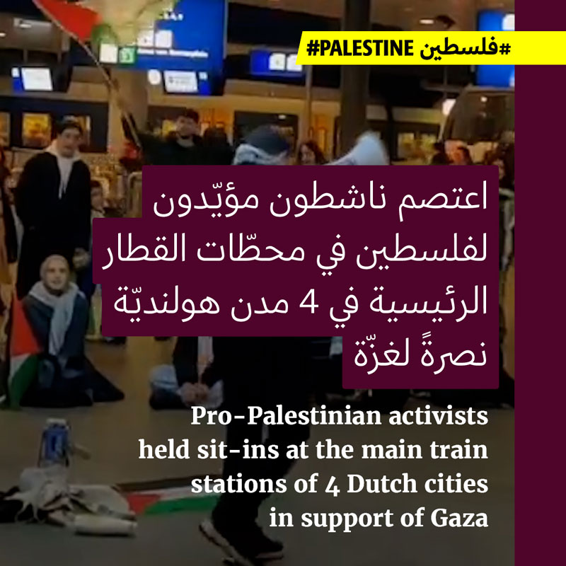 اعتصامات في 4 مدن هولنديّة من أجل غزّة 