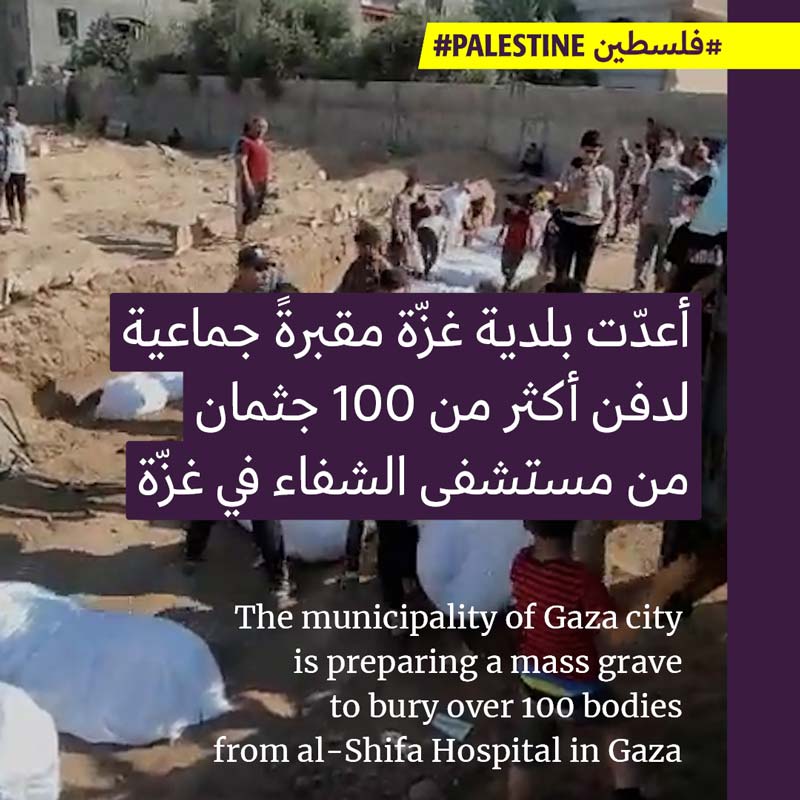 جرائم الاحتلال في غزّة تطلّبت إعداد مقبرة جماعية للفلسطينيين