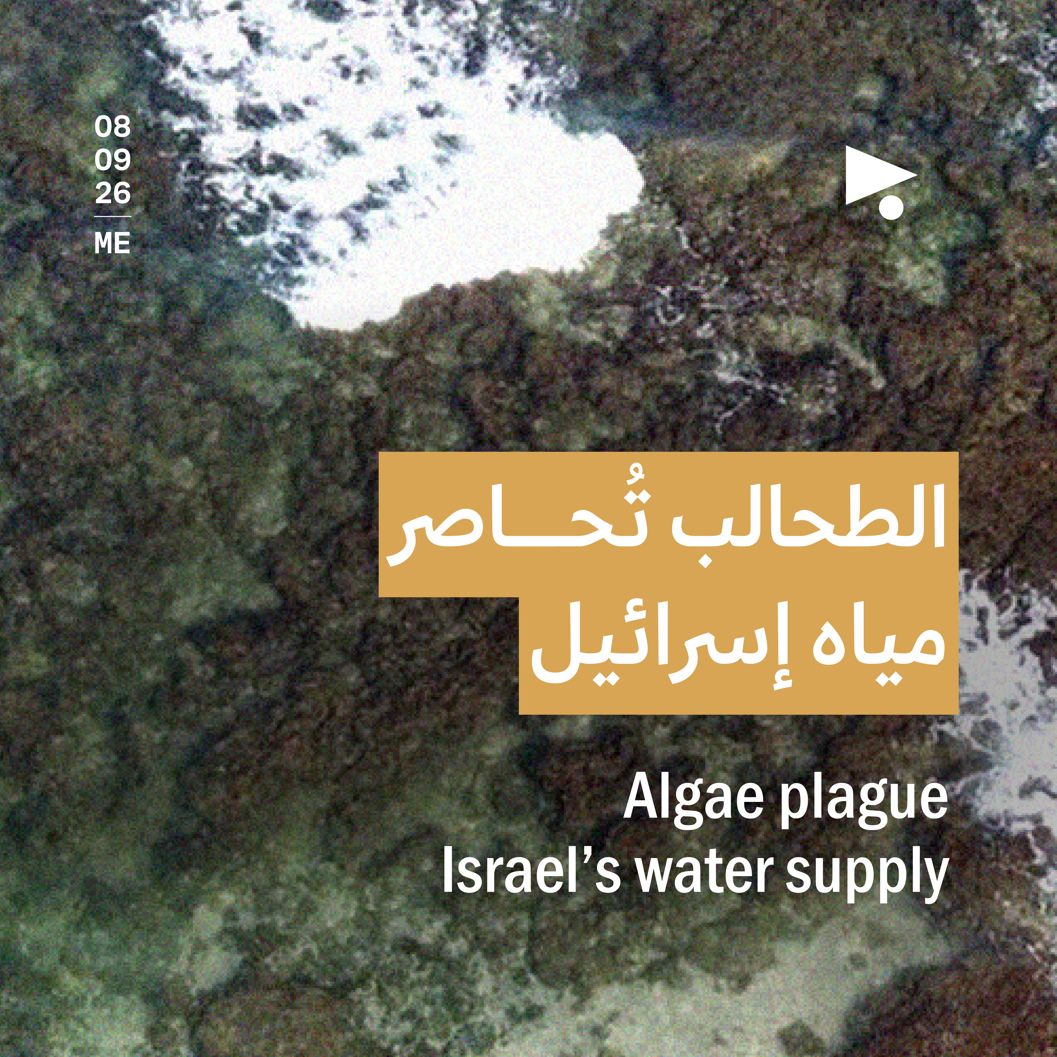 الطحالب تُحاصر مياه إسرائيل 
