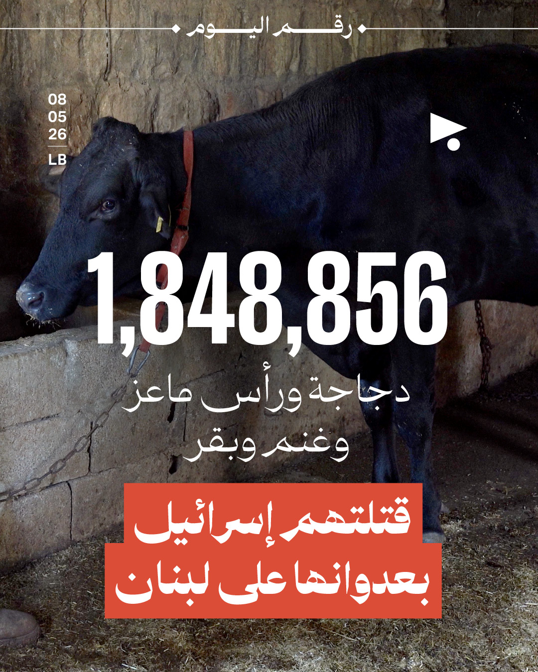 1,848,856 دجاجة ورأس ماعز وغنم وبقر قتلتهم إسرائيل بعدوانها على لبنان
