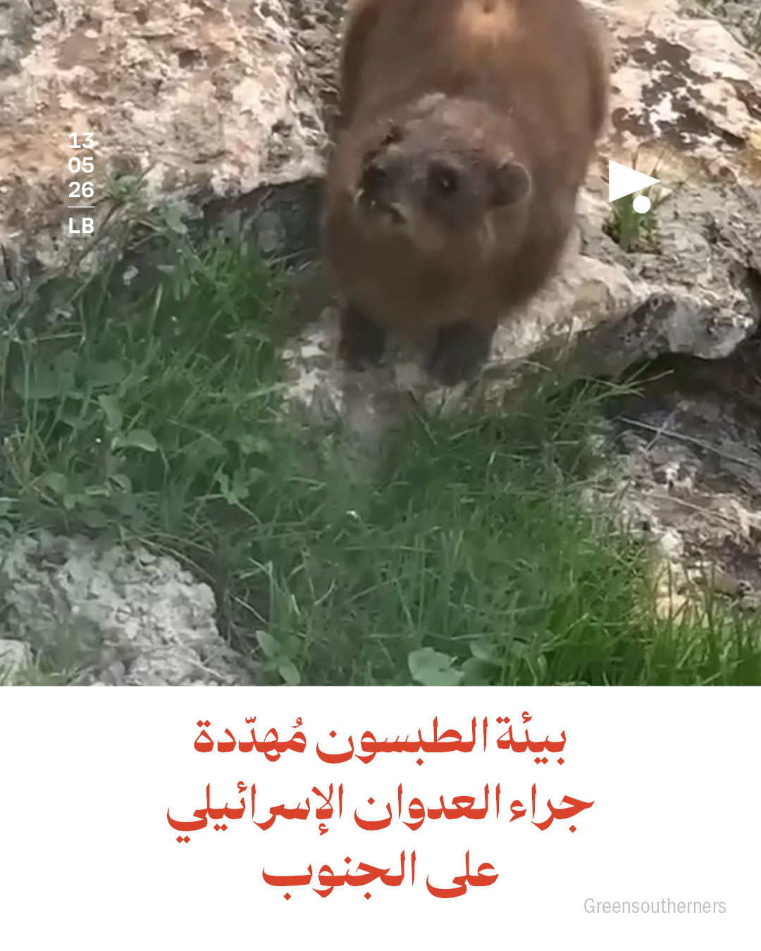 بيئة الطبسون مُهدّدة جراء العدوان الإسرائيلي على الجنوب