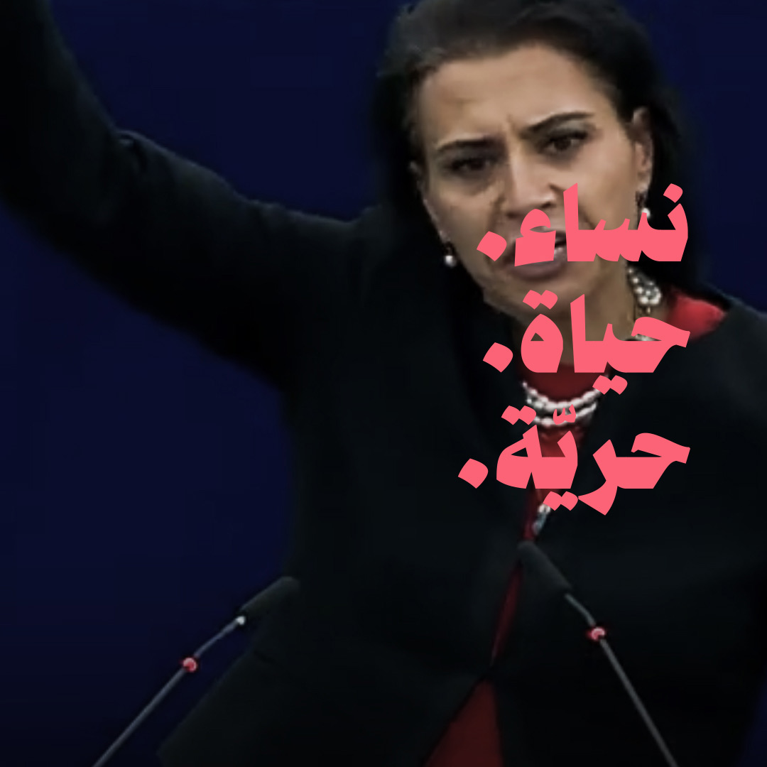 من فرنسا إلى البرلمان الأوروبي 