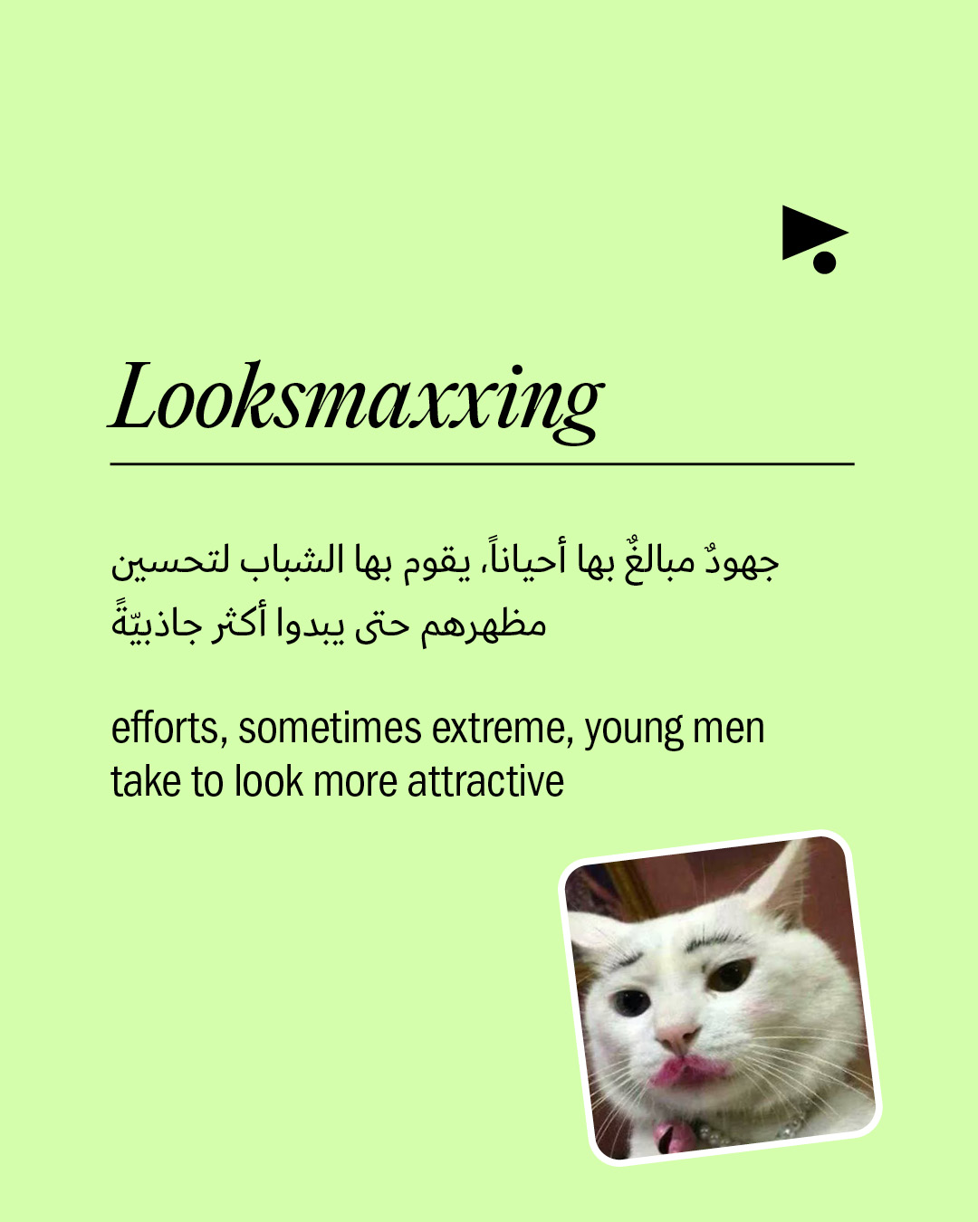 <strong>1,400 كلمة جديدة أضيفت إلى قاموس «ميريام وبستر» في 2026</strong>