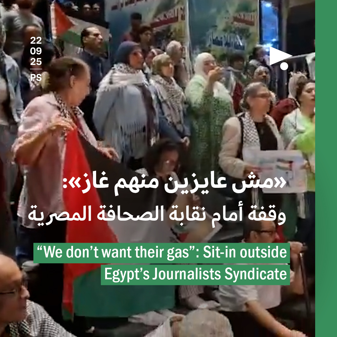«مش عايزين منهم غاز»: وقفة أمام نقابة الصحافة المصرية