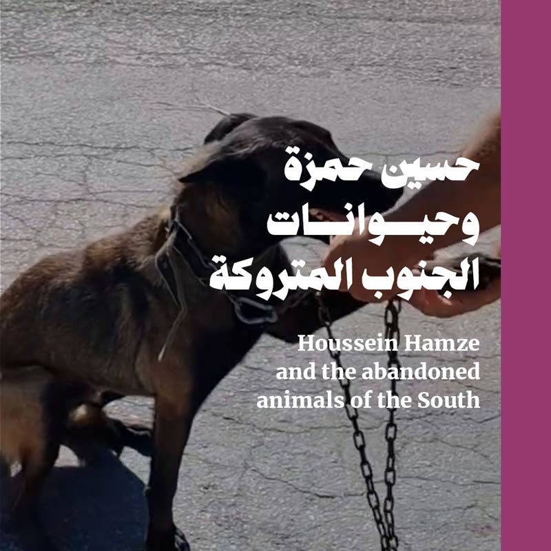 حسين حمزة وحيوانات الجنوب المتروكة