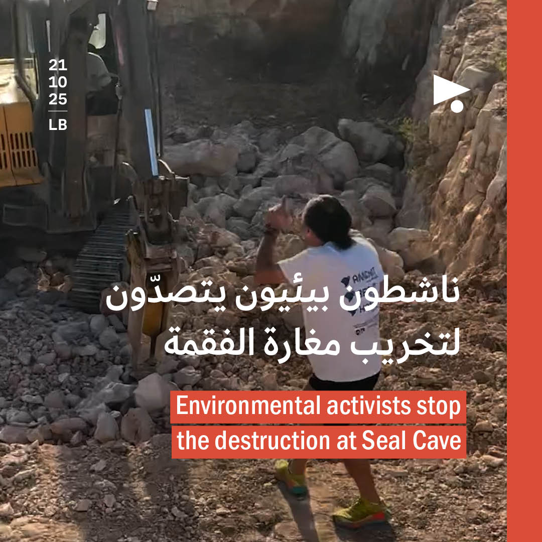 ناشطون بيئيون يتصدّون لتخريب مغارة الفقمة