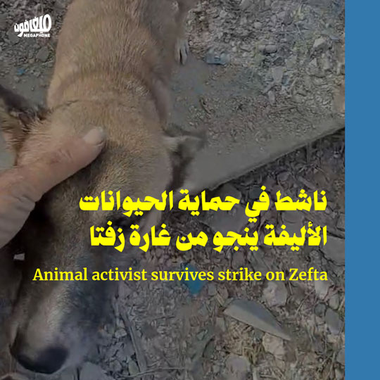 ناشط في حماية الحيوانات الأليفة ينجو من غارة زفتا