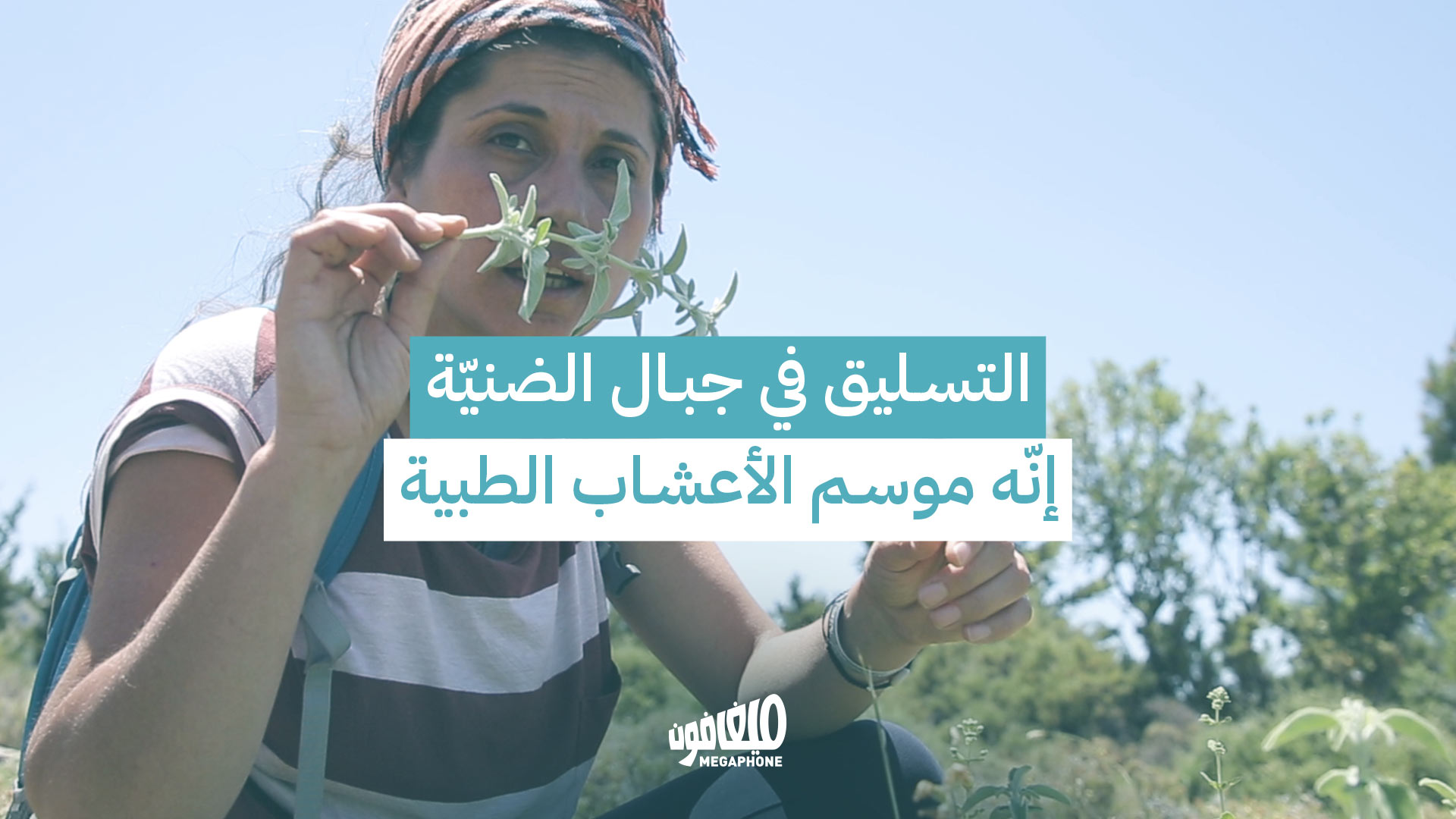 التسليق في جبال الضنيّة