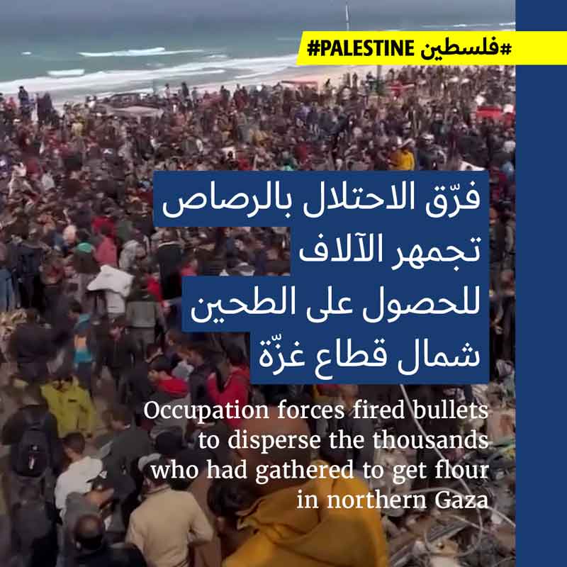 <strong>5 شهداء بحثاً عن الطحين شمال قطاع غزّة </strong>