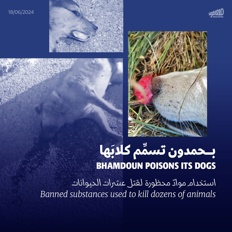 بحمدون تسمِّم كلابَها