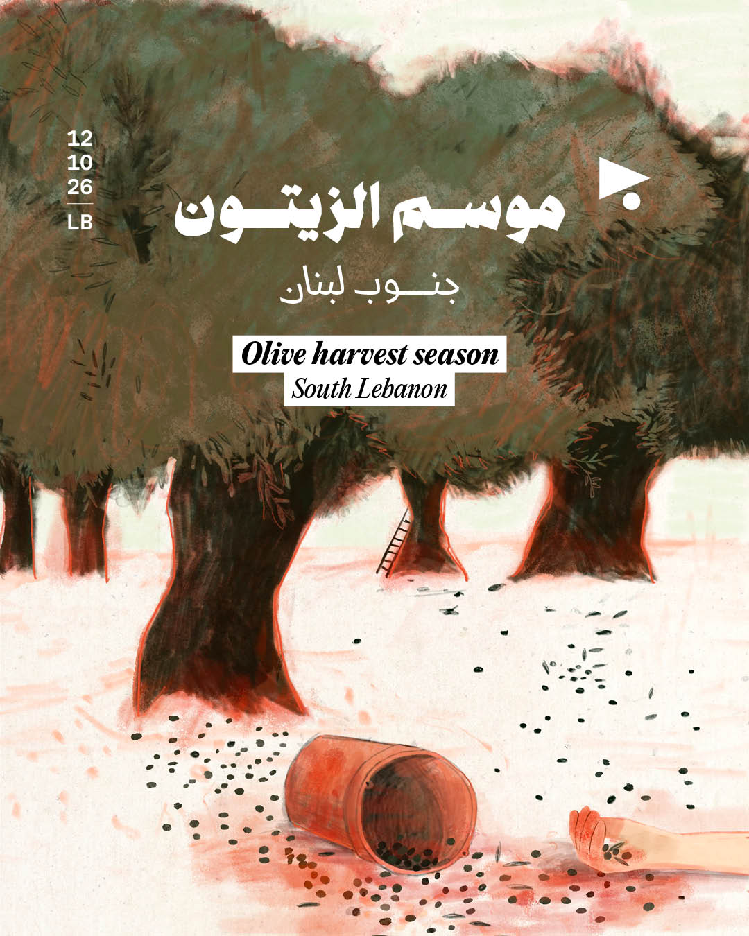 موسم الزيتون في جنوب لبنان