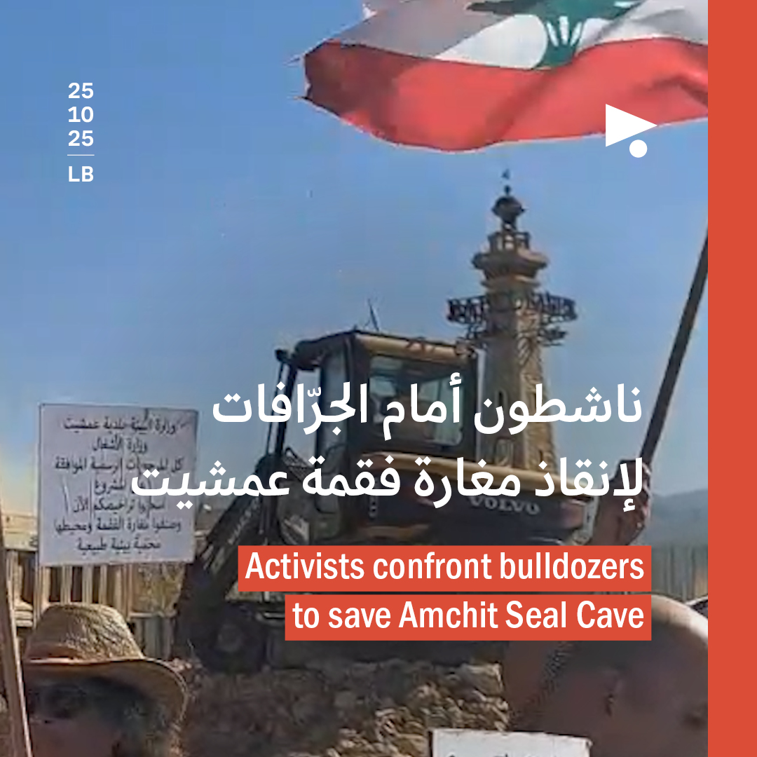 ناشطون أمام الجرّافات لإنقاذ مغارة فقمة عمشيت