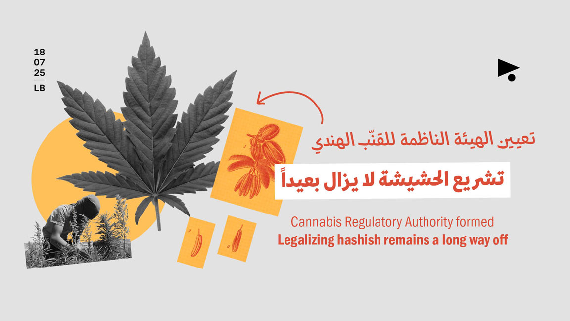 تعيين الهيئة الناظمة للقنّب الهندي: تشريع الحشيشة لا يزال بعيداً