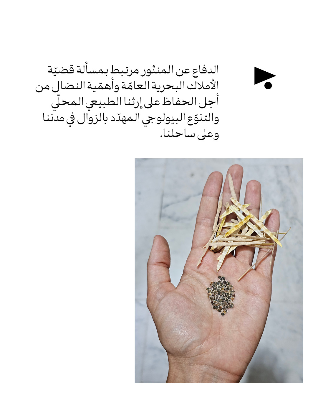 <strong>يا حبق ومنتور</strong>