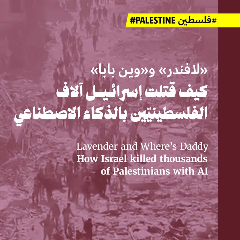 «لافندر» و«وين بابا»