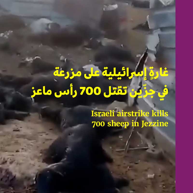 غارة إسرائيلية على مزرعة في جزّين تقتل 700 رأس ماعز