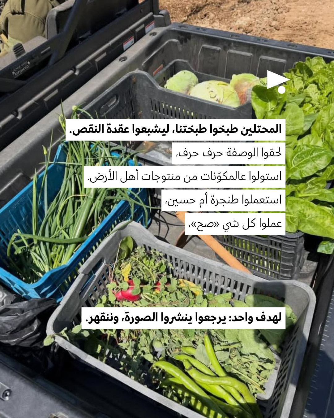 <strong>وصفة المحشي ملفوف المحتلّ </strong>