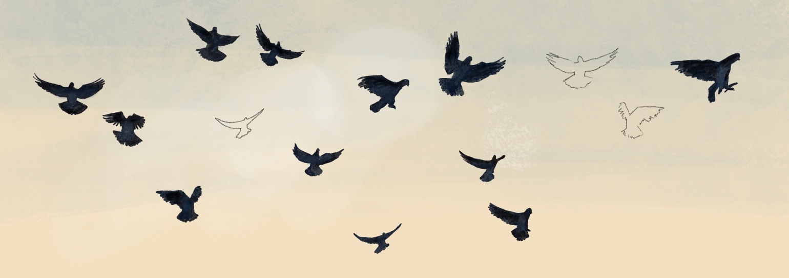 في وداع أحمد قعبور 