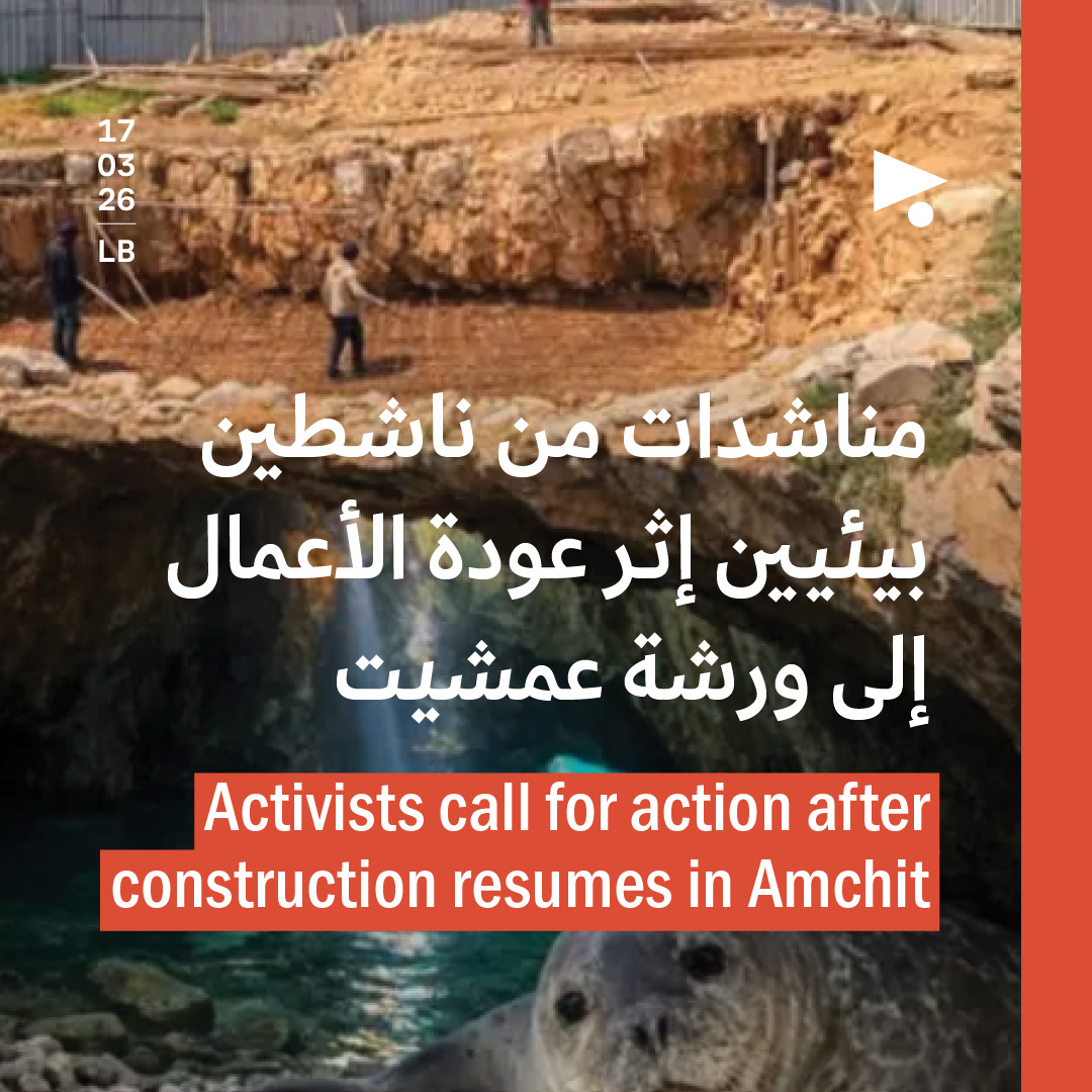 مناشدات من ناشطين بيئيين إثر عودة الأعمال إلى ورشة عمشيت